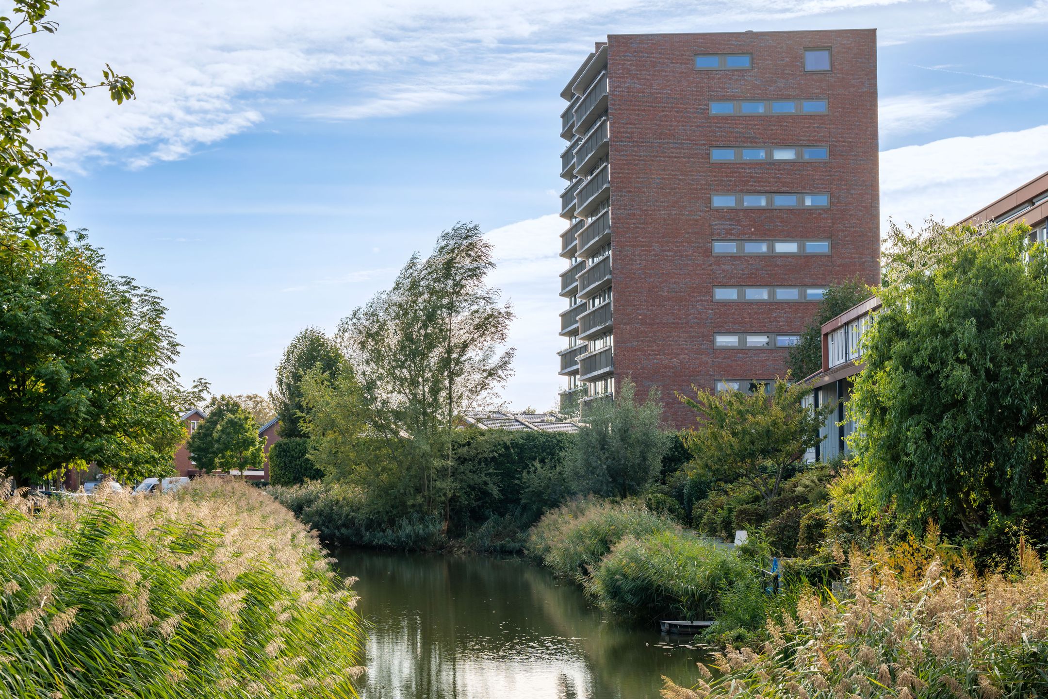 Foto 30 van Binckesstraat 42