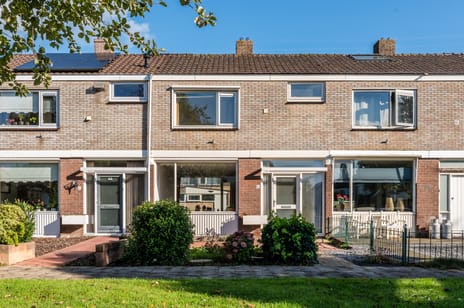 undefined main image