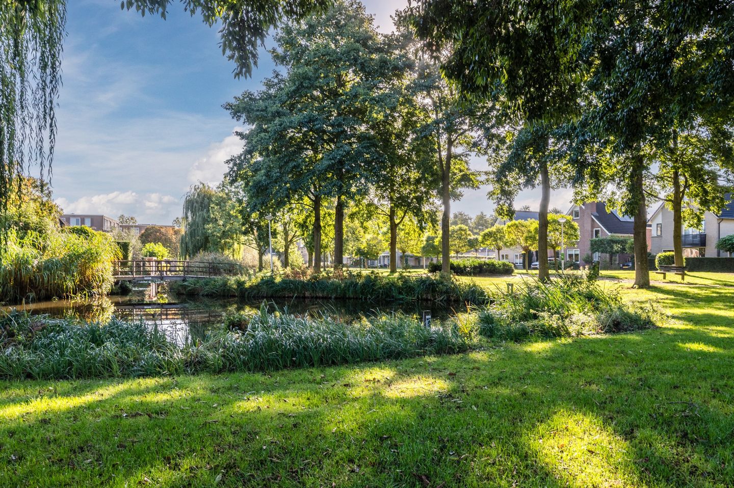 Foto 34 van Dirk Bavolaan 34