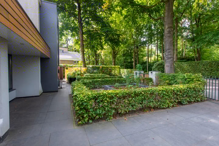 Foto 5 van Delmerweg 12