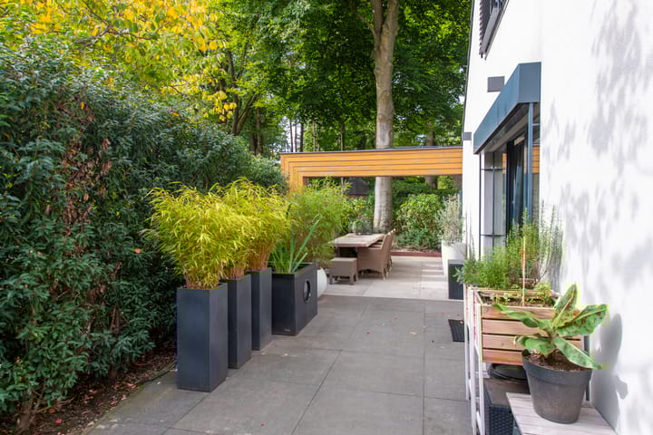 Foto 79 van Delmerweg 12