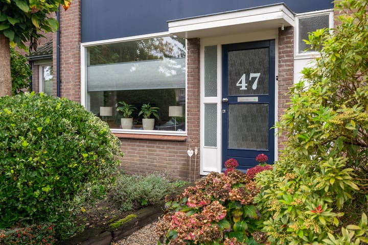 Foto 5 van Willem Kalfstraat 47