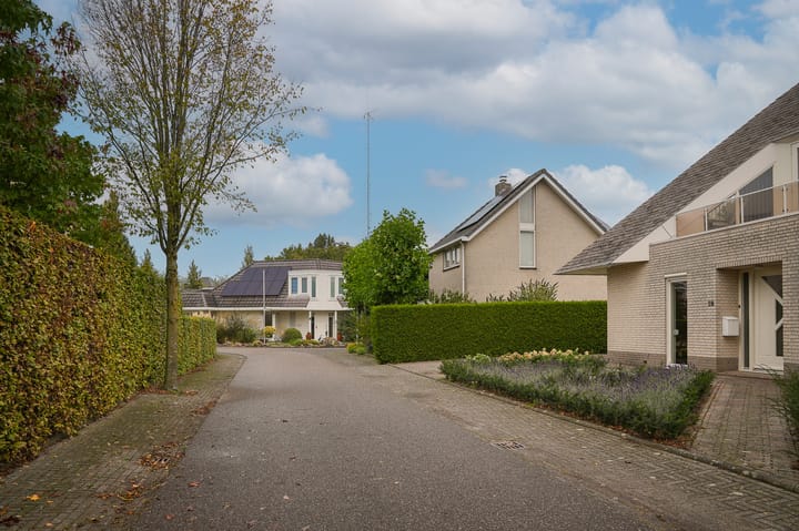 Foto 53 van Kruiwiel 18