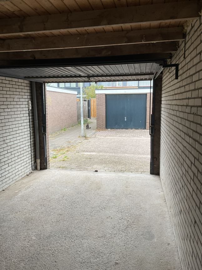 Foto 3 van Wollegras 14-GR06