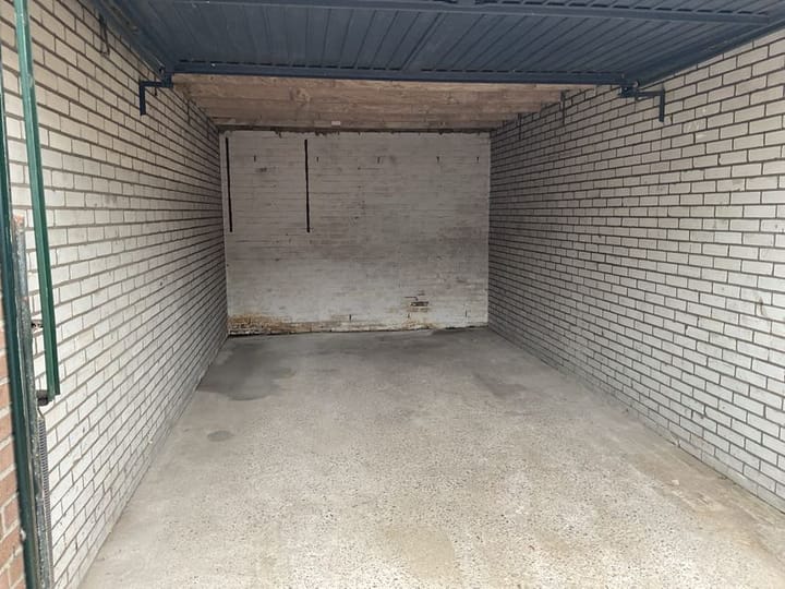 Foto 4 van Wollegras 14-GR06