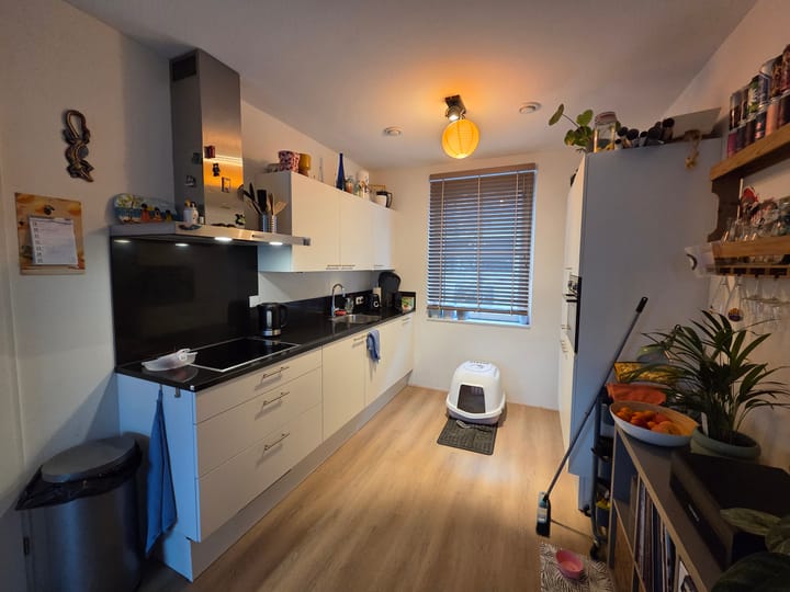 Photo 6 of De Dempostraat 3