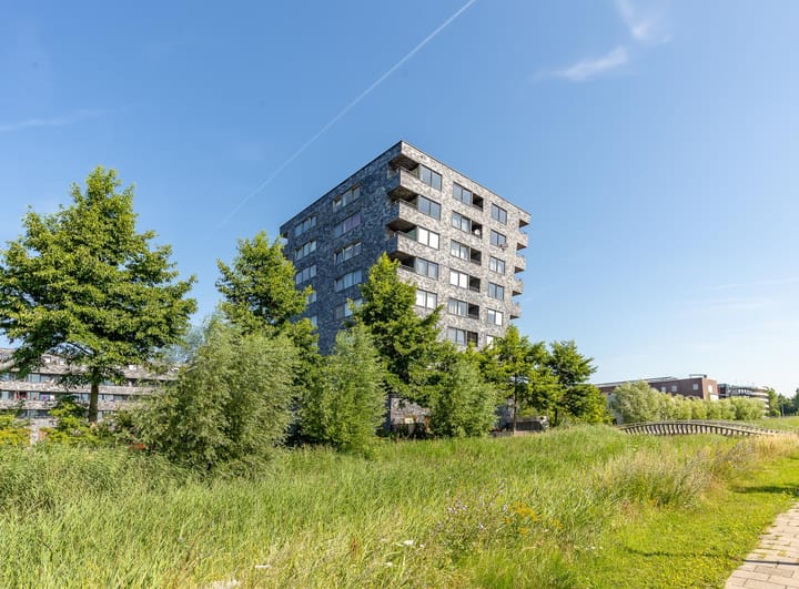 Foto 2 van Rottumeroog 64