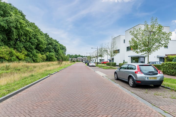 Foto 34 van Boschring 11