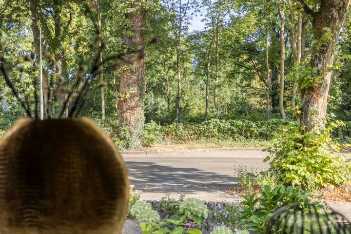 Foto 14 van Bruggertstraat 311