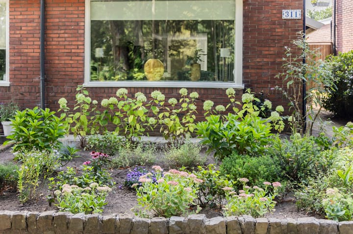 Foto 50 van Bruggertstraat 311