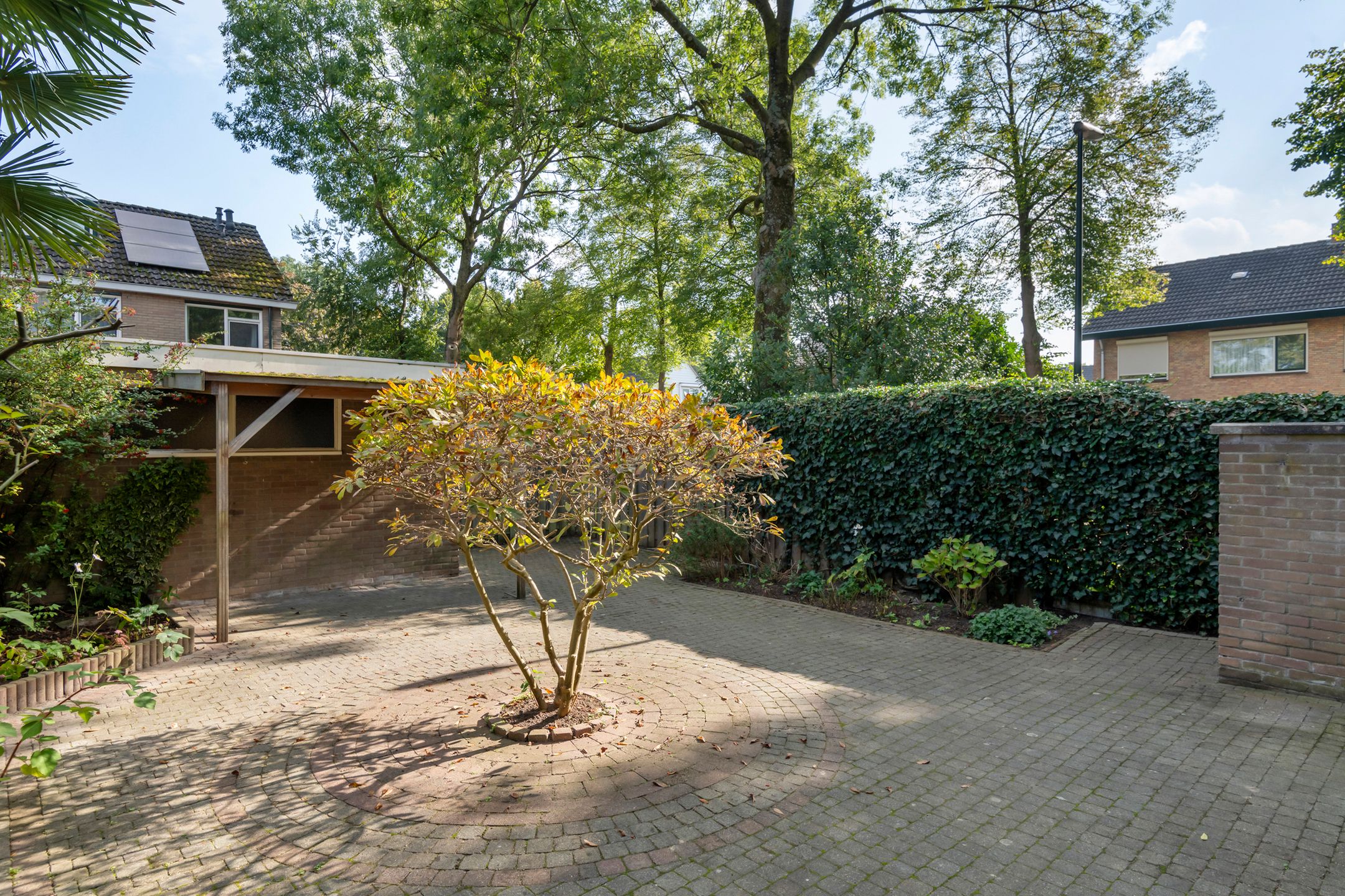 Foto 3 van Meerkoetlaan 91