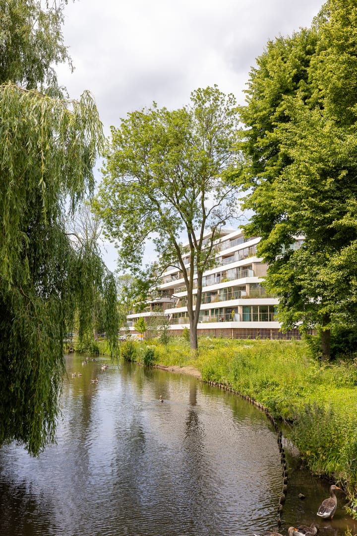 Foto 10 van Nancy Zeelenbergsingel 90