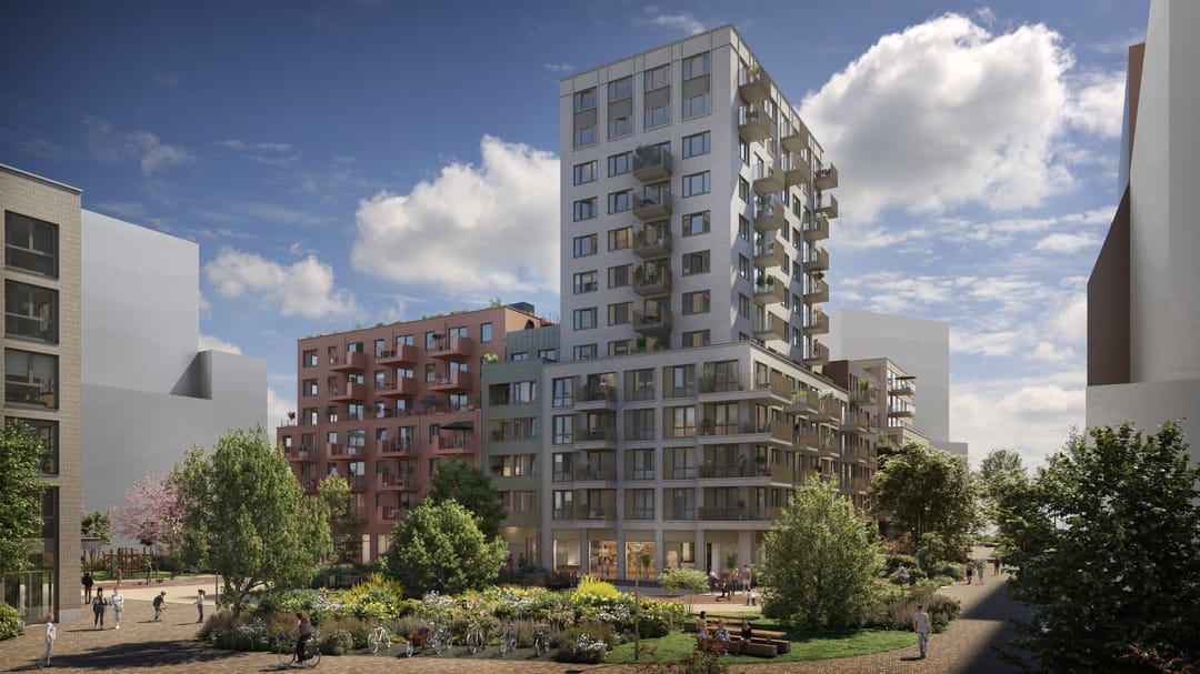 Photo 2 of Ludens Joy