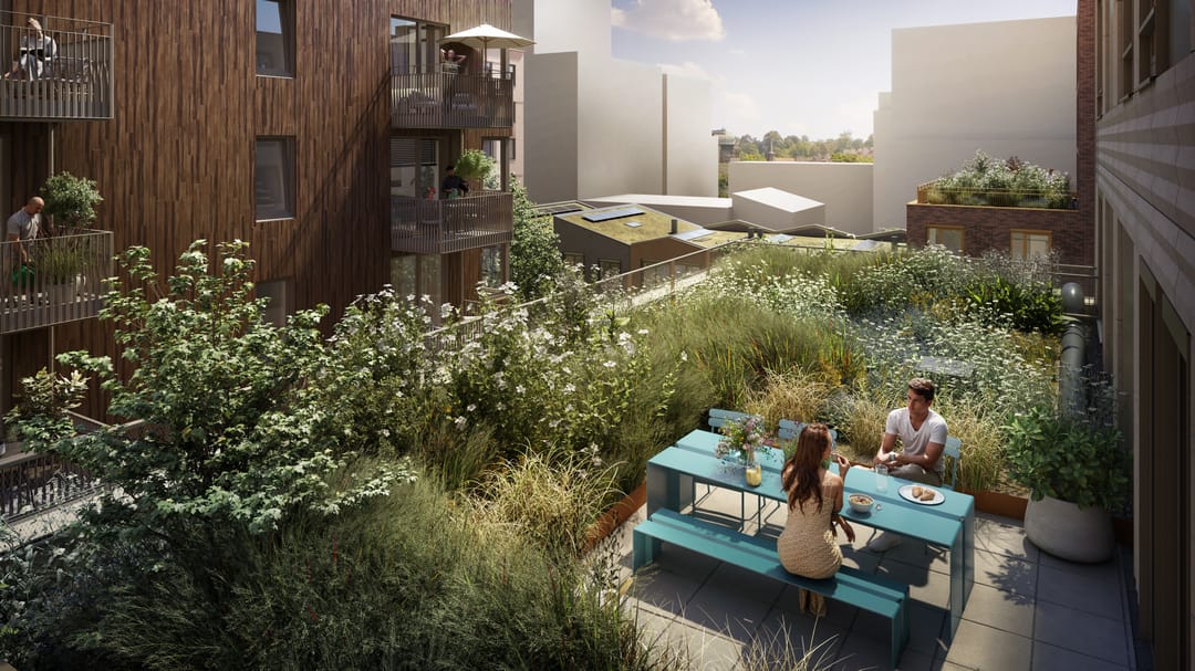 Photo 6 of Ludens Joy