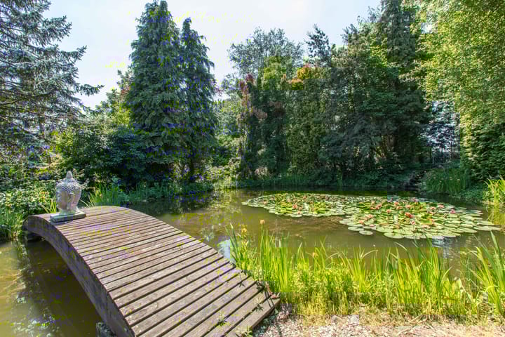 Foto 51 van Molenweg 25