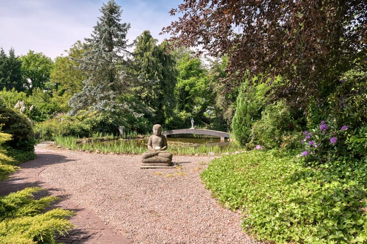 Foto 55 van Molenweg 25