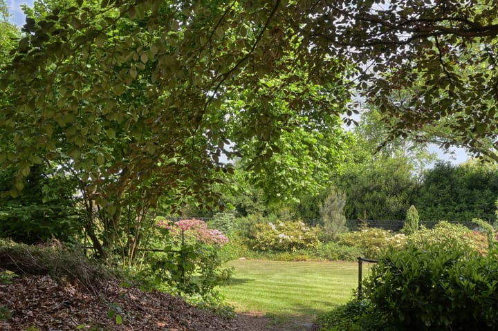 Foto 67 van Molenweg 25