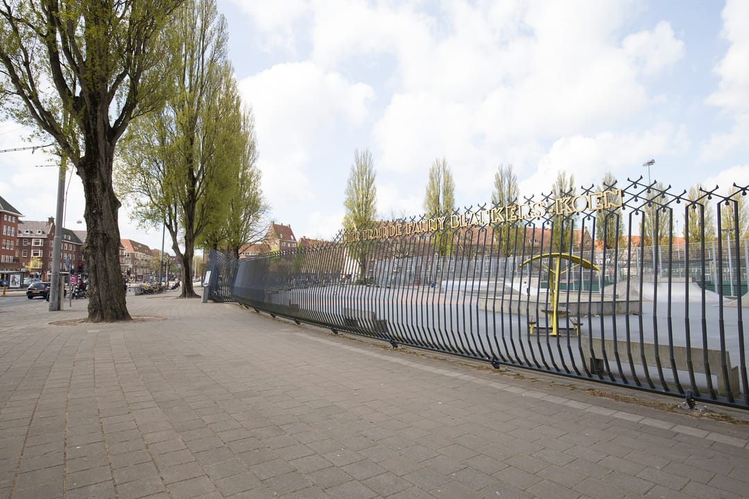 Foto 38 van Theseusstraat 13-1