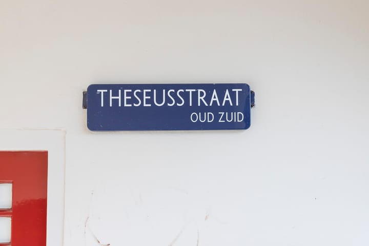 Foto 34 van Theseusstraat 13-1