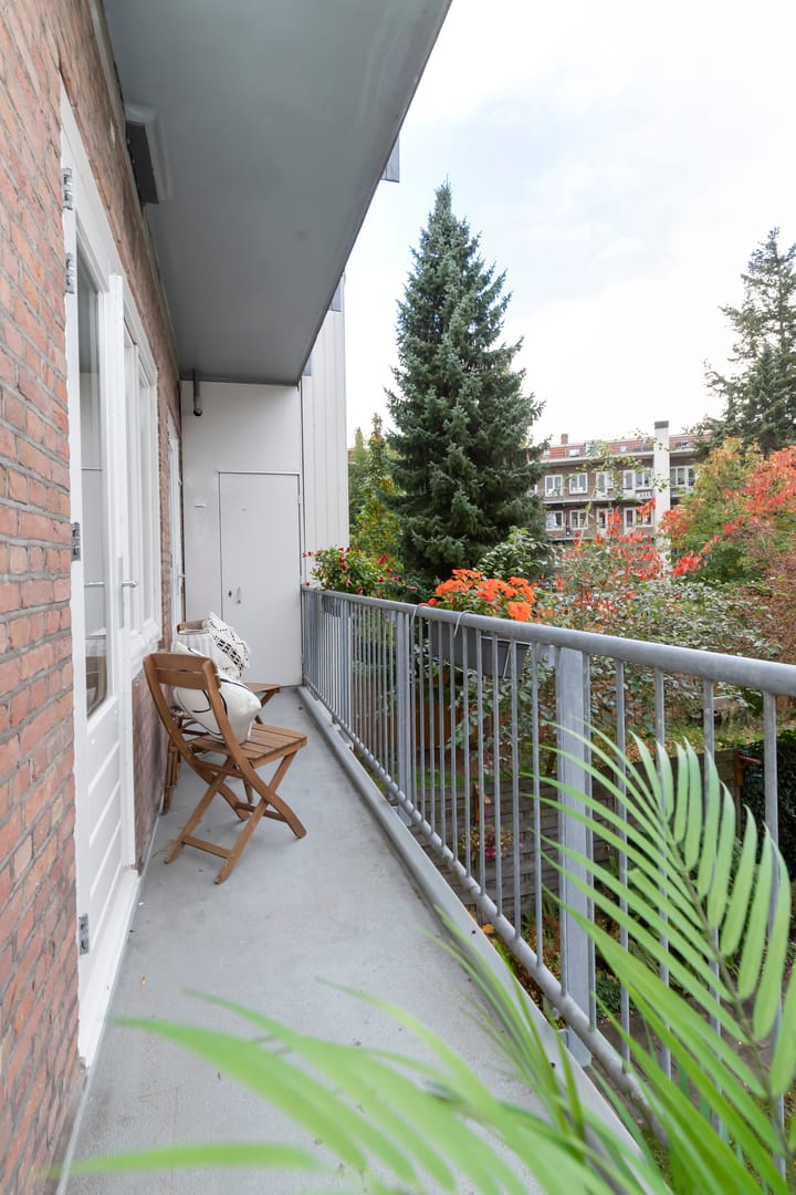 Foto 10 van Theseusstraat 13-1