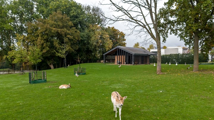 Foto 42 van Niersprinkstraat 40-A