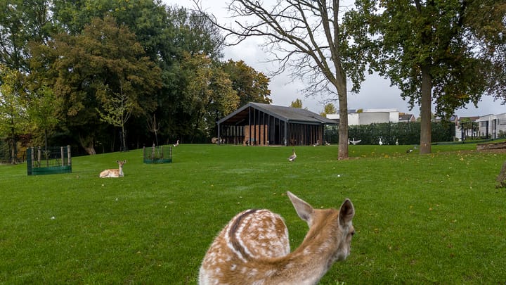 Foto 43 van Niersprinkstraat 40-A