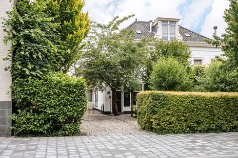 undefined main image