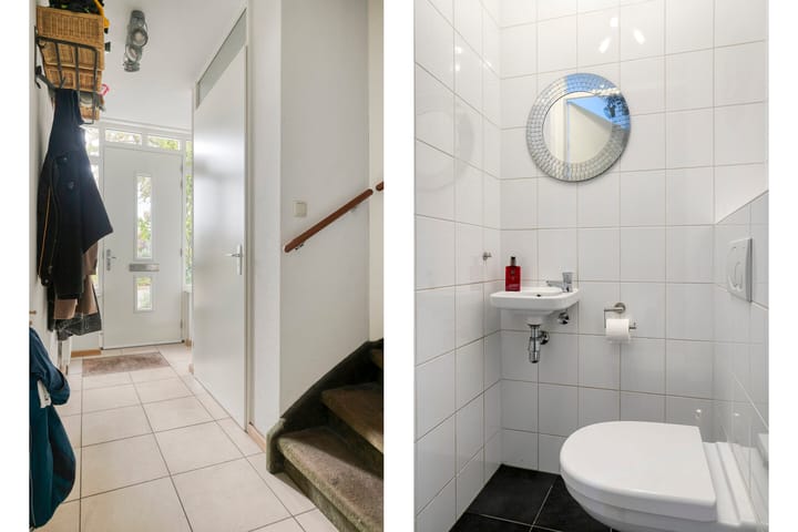 Foto 9 van Sneeuwuil 14