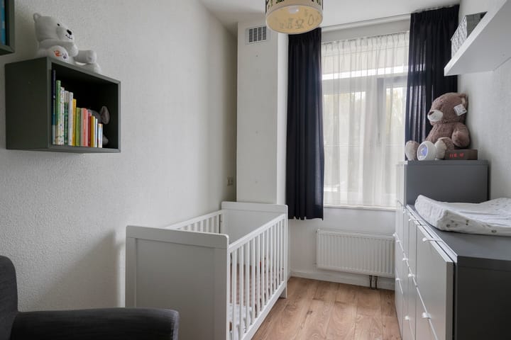 Foto 24 van Sneeuwuil 14