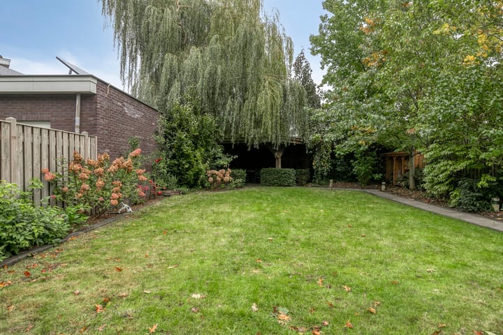 Foto 31 van Sneeuwuil 14