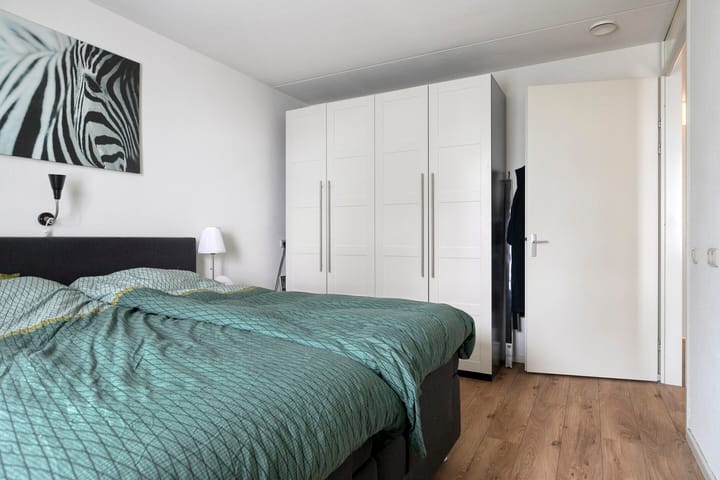 Foto 21 van Sneeuwuil 14