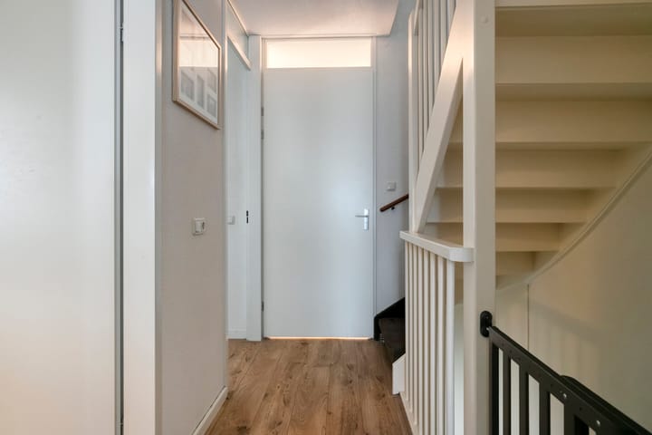 Foto 19 van Sneeuwuil 14