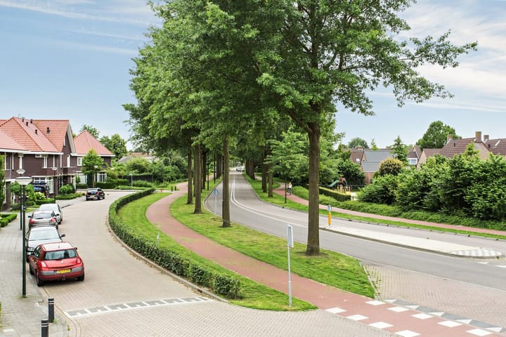 Foto 39 van Sneeuwuil 14