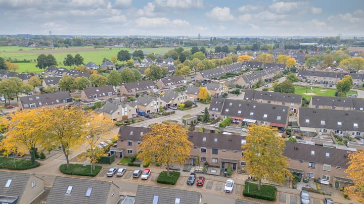 Foto 5 van Golden Delicious 9