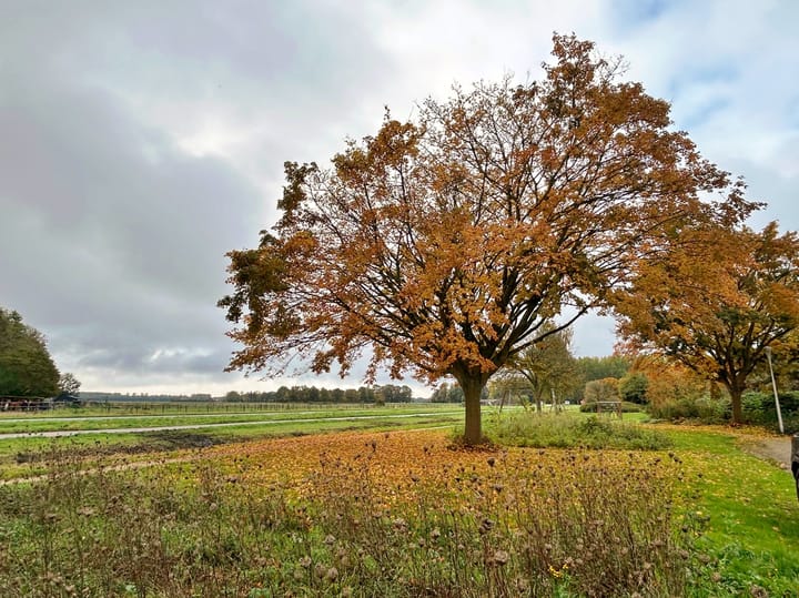 Foto 3 van Kampeerveld 9