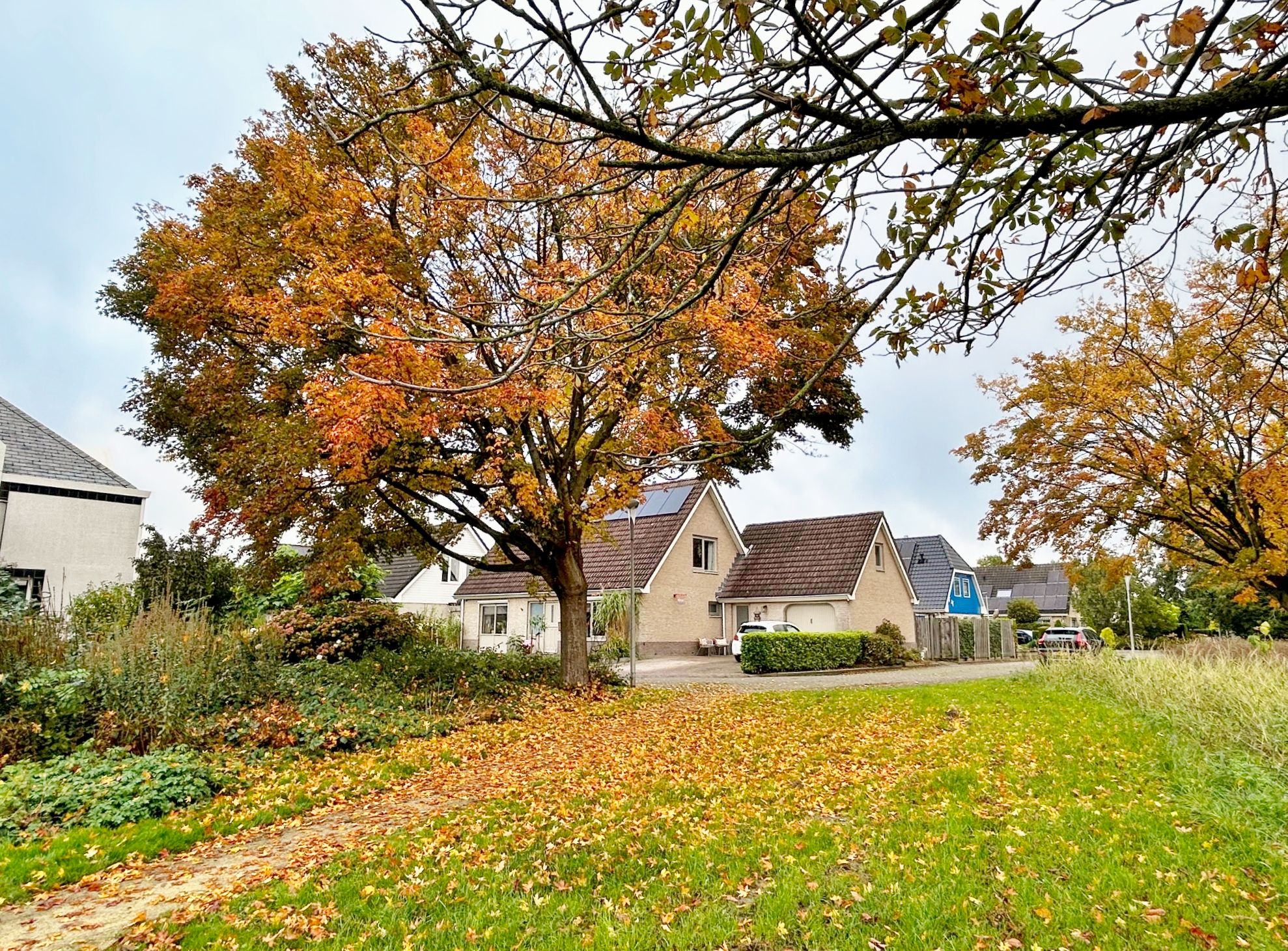 Foto 30 van Kampeerveld 9