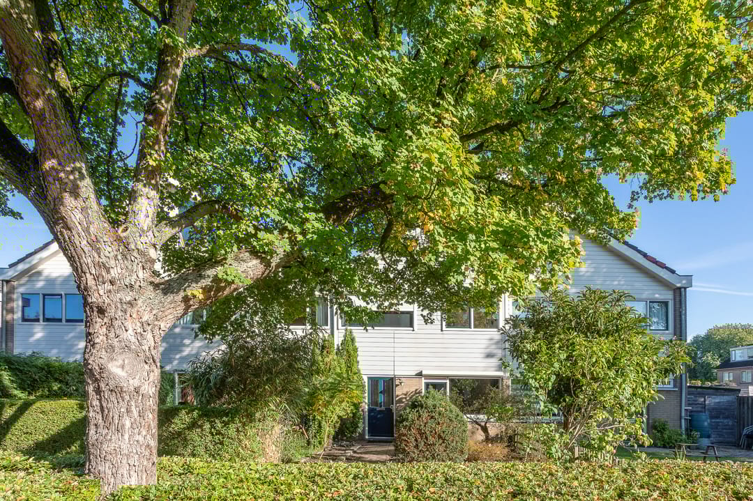 Photo 1 of Leigraaf 41