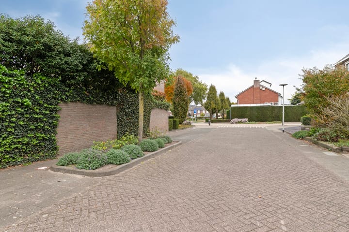 Foto 42 van Limburgstraat 28