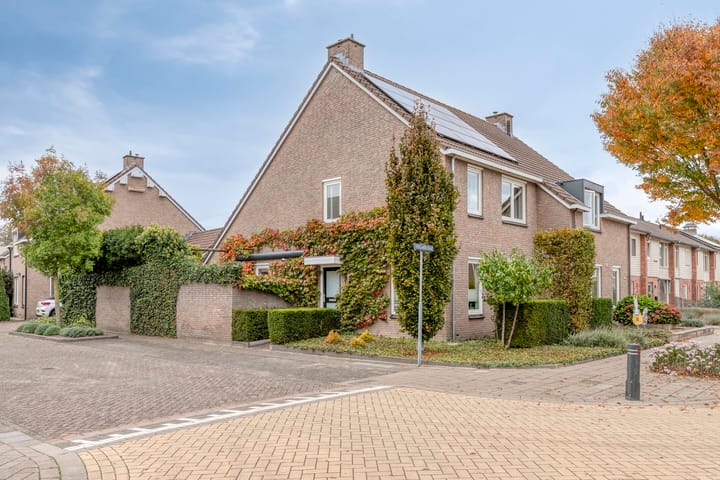 Foto 43 van Limburgstraat 28