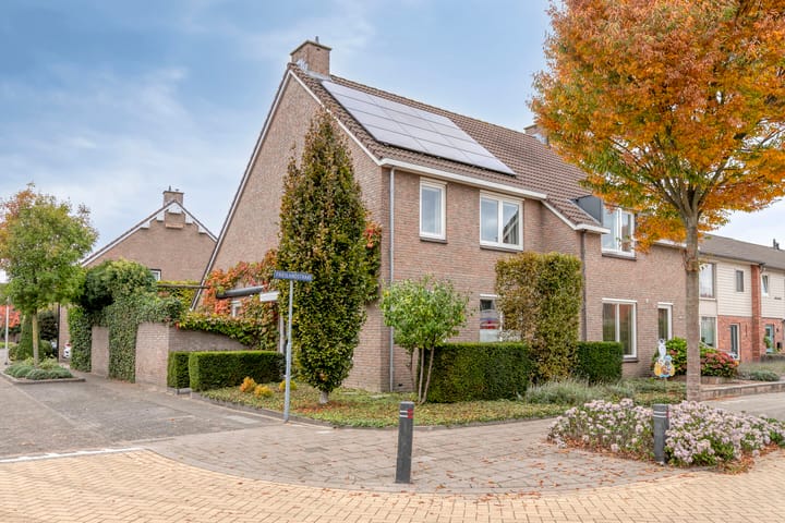 Foto 44 van Limburgstraat 28