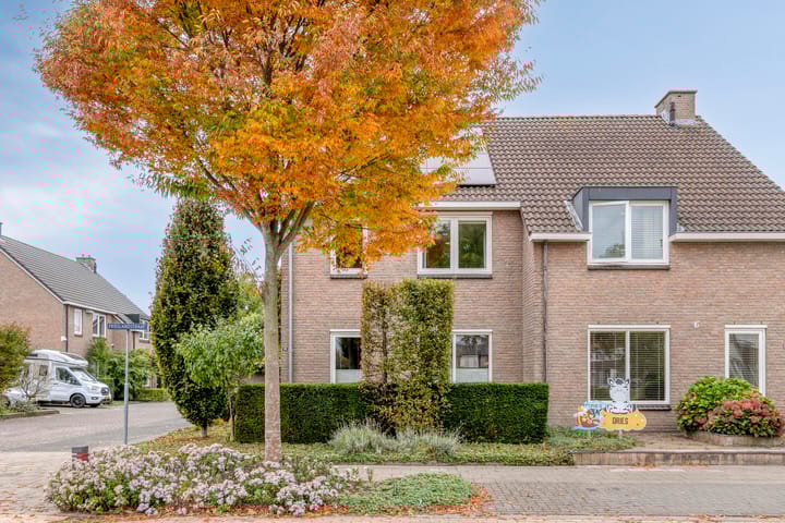 Foto 45 van Limburgstraat 28