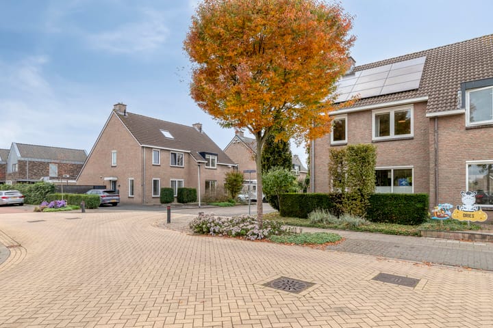 Foto 46 van Limburgstraat 28