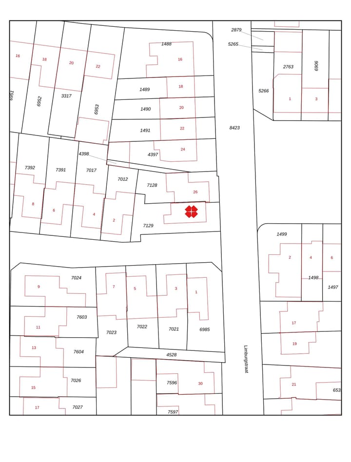 Foto 55 van Limburgstraat 28