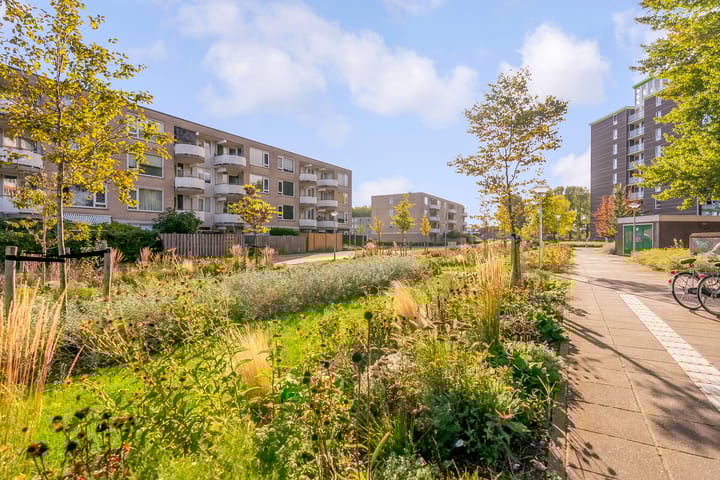 Foto 25 van Glinkastraat 253