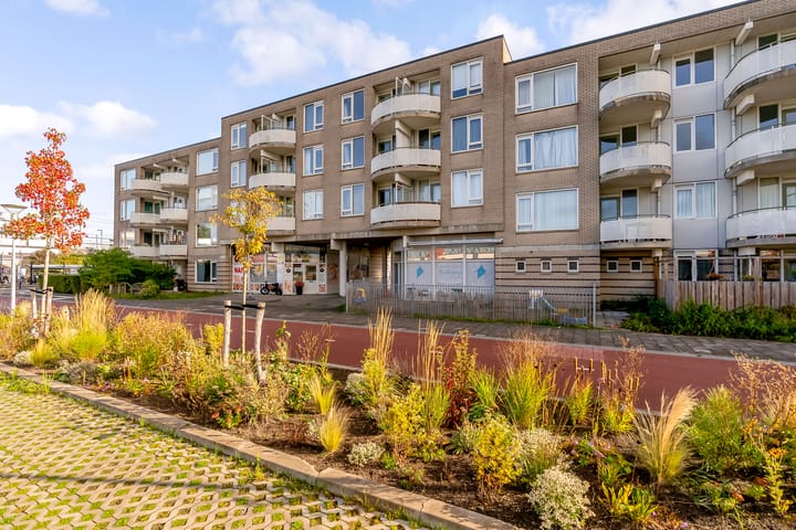 Foto 27 van Glinkastraat 253