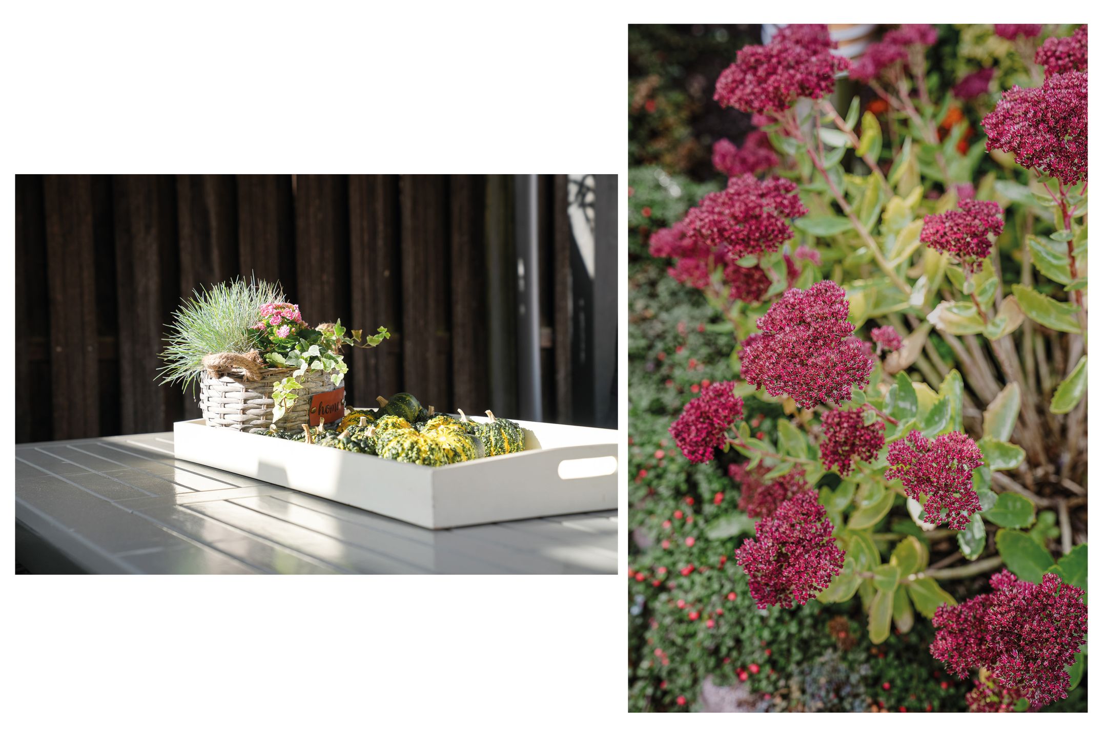 Foto 24 van Van Buurenstraat 12