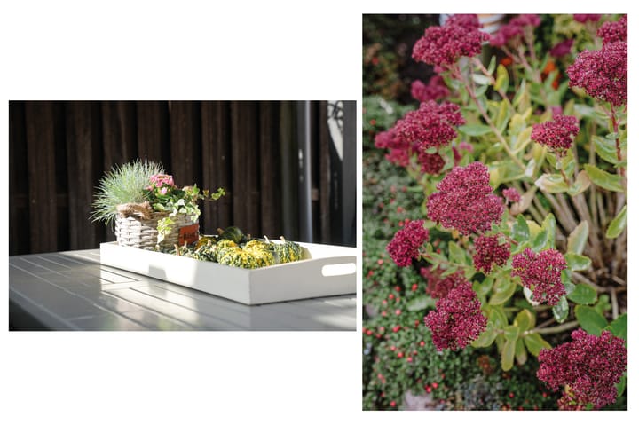 Photo 24 of Van Buurenstraat 12