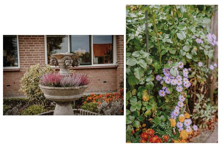 Photo 29 of Van Buurenstraat 12