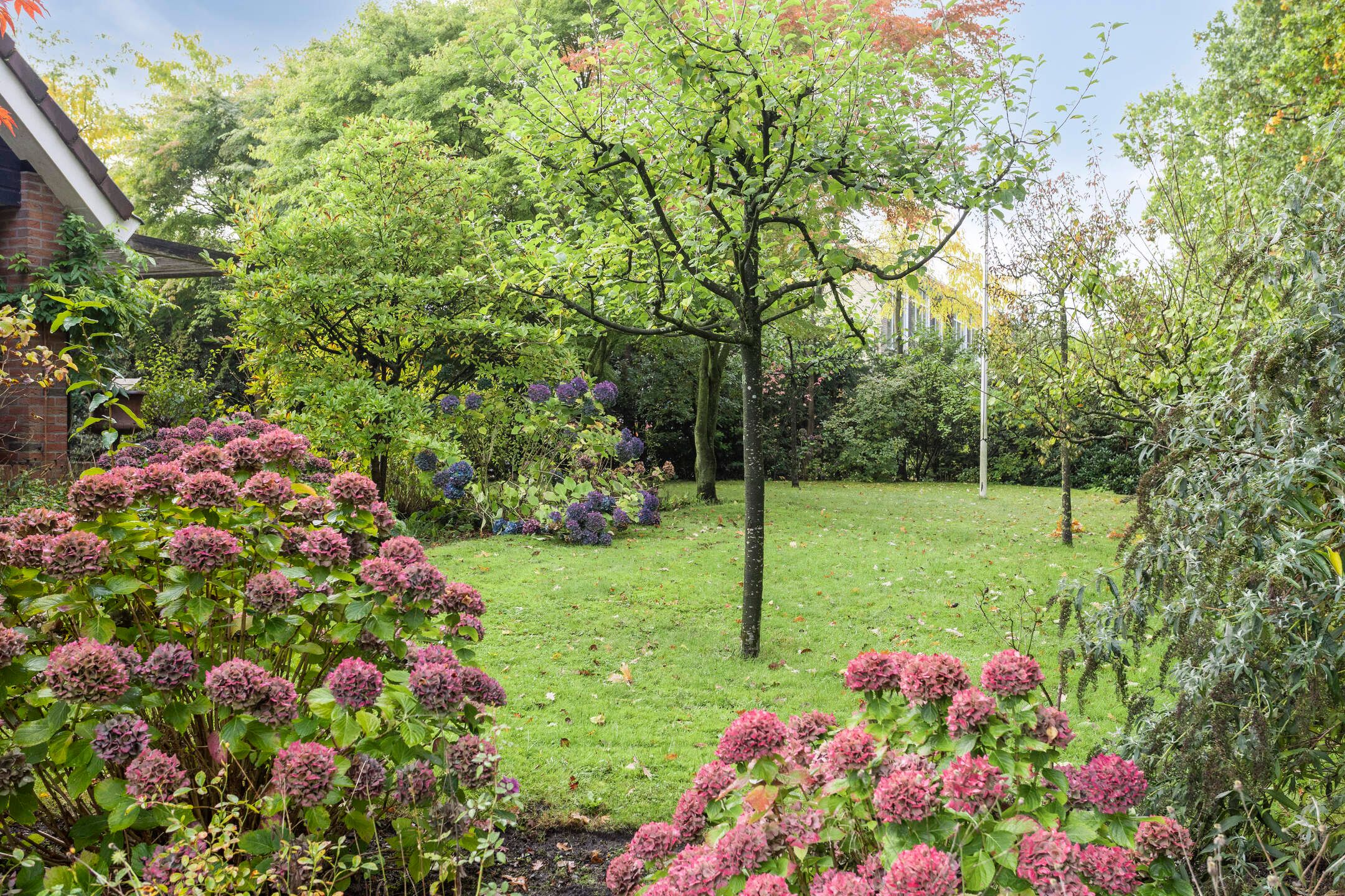 Foto 6 van Esweg 108