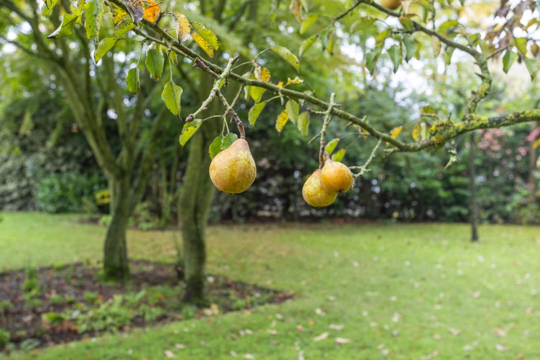 Foto 47 van Esweg 108